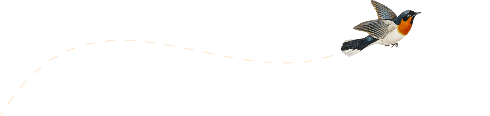 Ilustracja przedstawiająca ptaka w locie.
